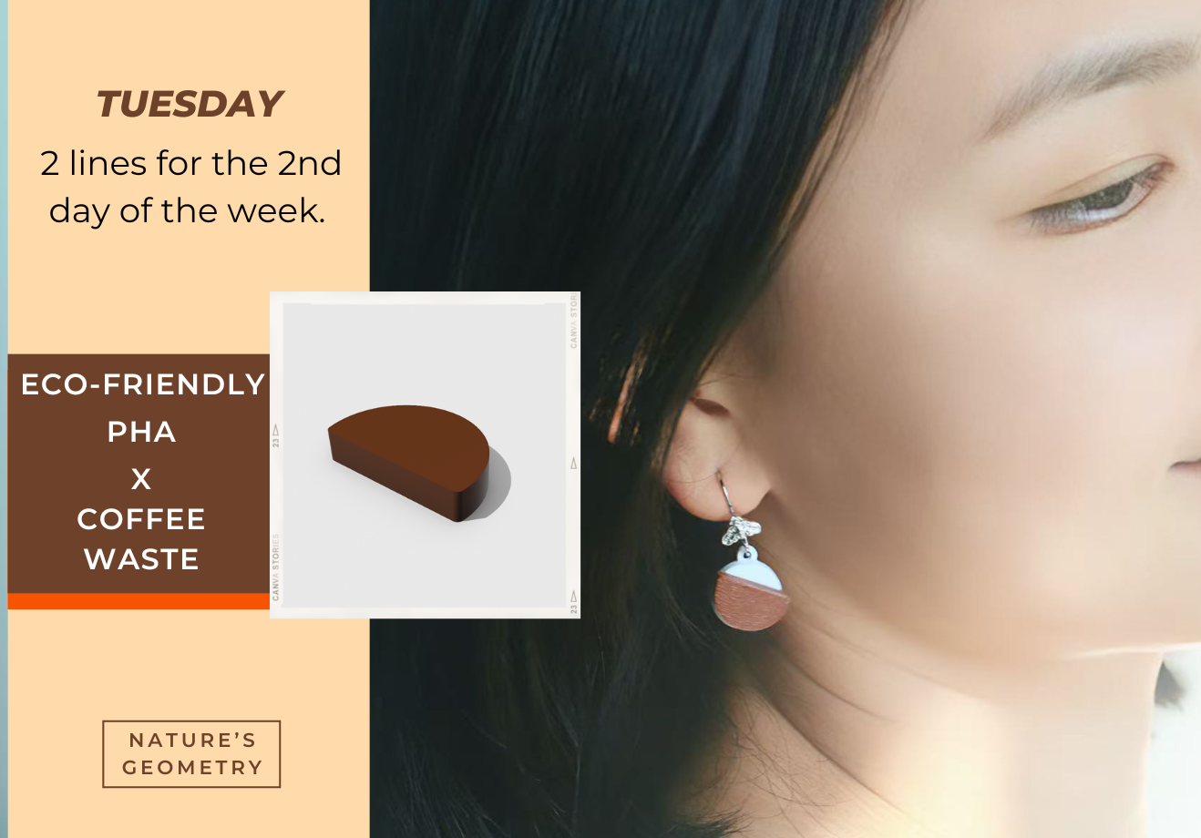 Nature's Geometry: 1 Pair 7 Styles Earring Set