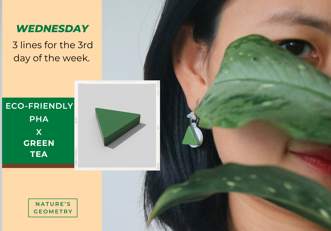 Nature's Geometry: 1 Pair 7 Styles Earring Set