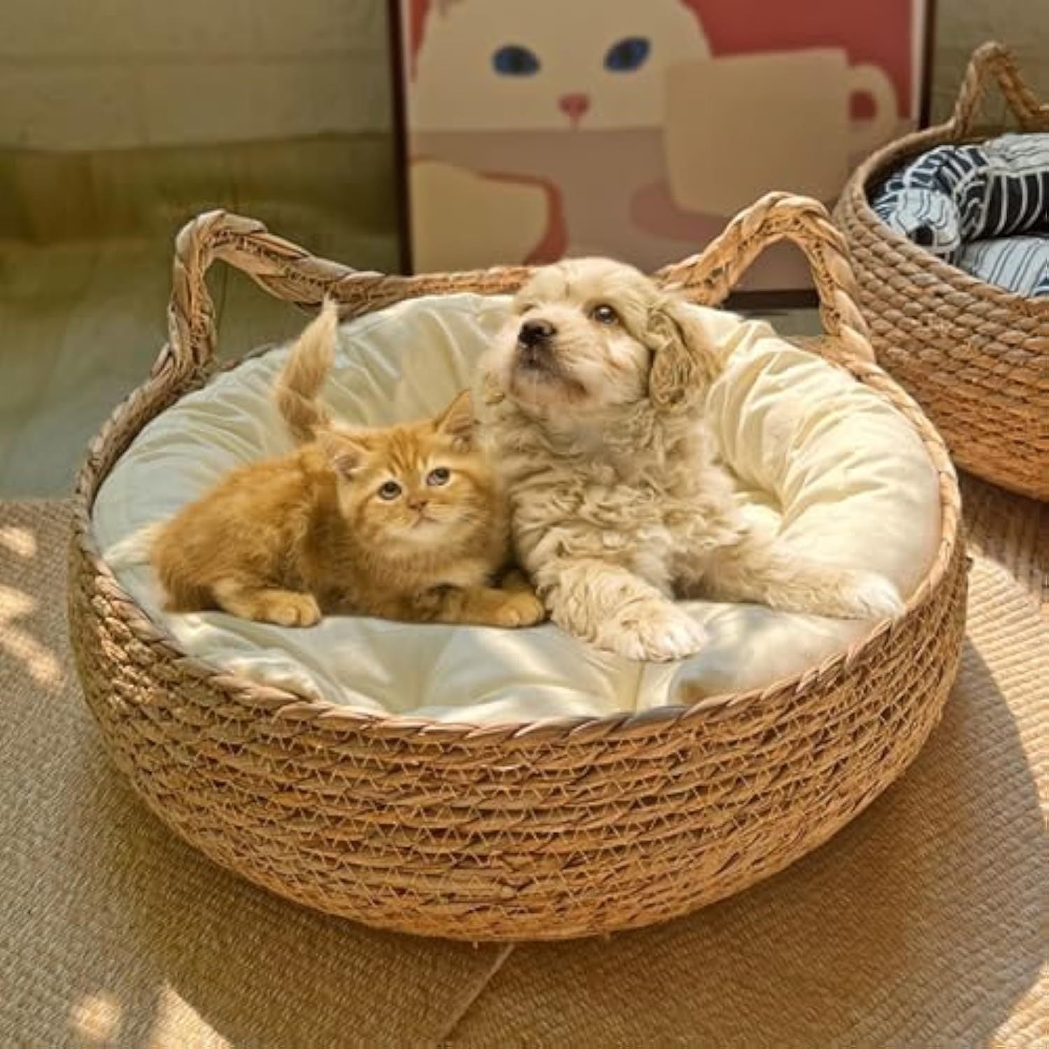 Pet