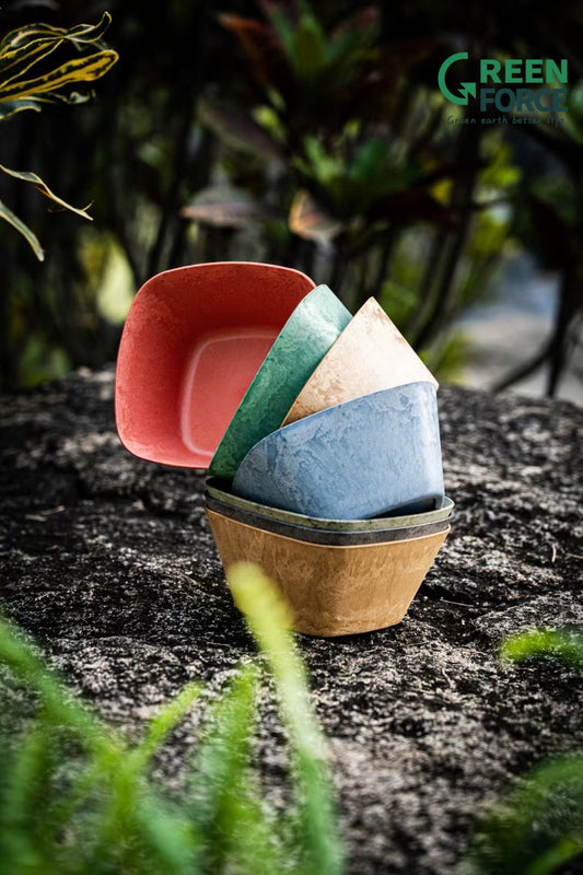 CCC Wooden Fibre Bowl